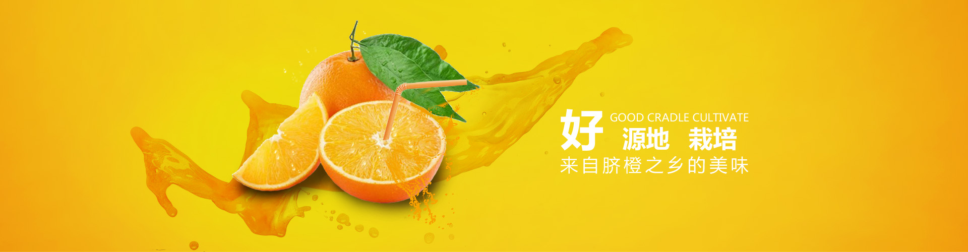 來自臍橙之鄉(xiāng)的美味