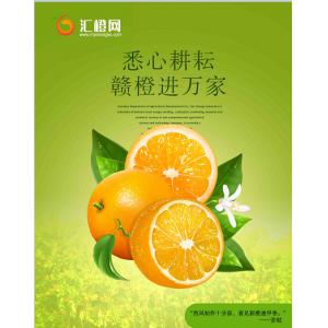 【迷你果】自營正宗贛南臍橙—10KG裝，富硒橙
